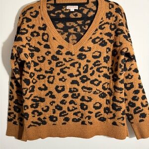 Knox Rose Brown and Black V-Neck Sweater